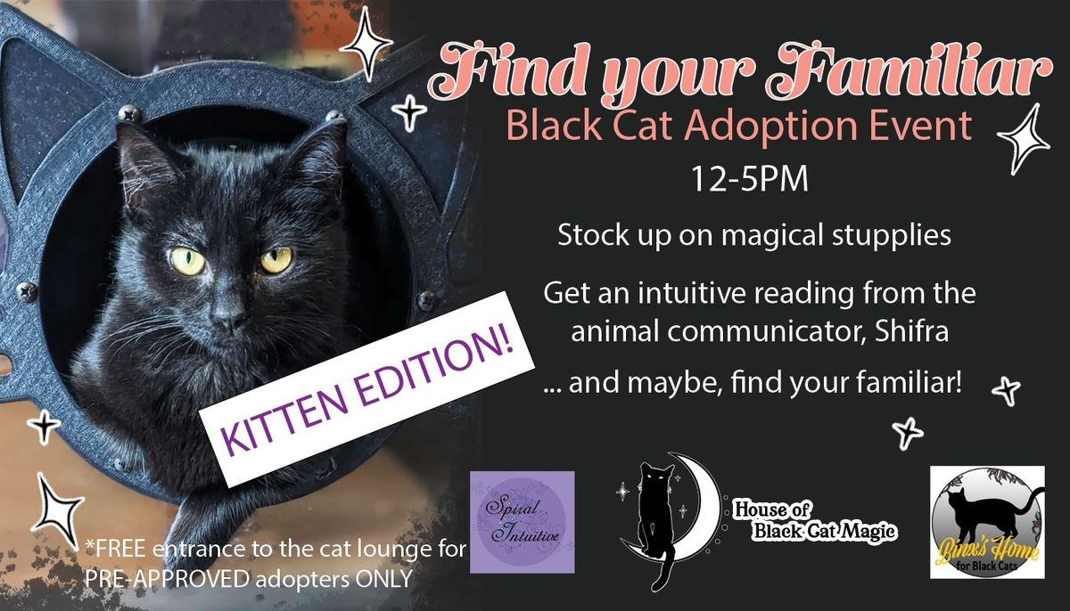 Find Your Familiar Black Cat Adoption Event, House of Black Cat Magic