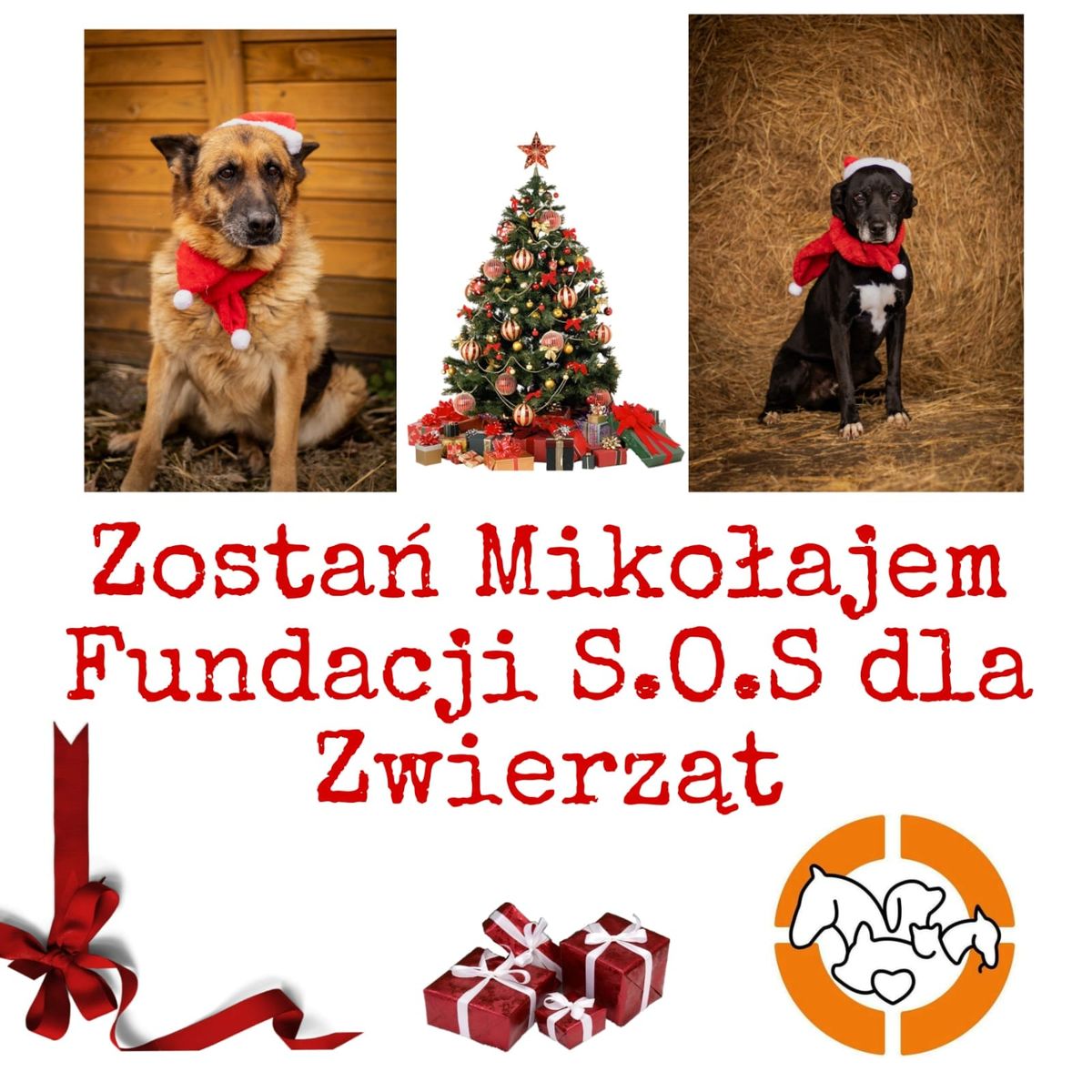 Zosta\u0144 Miko\u0142ajem Fundacji S.O.S Dla Zwierz\u0105t 