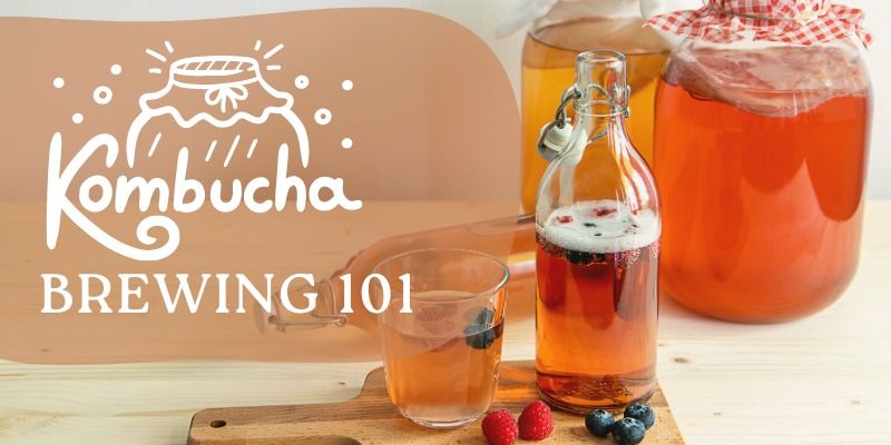 Kombucha Brewing 101