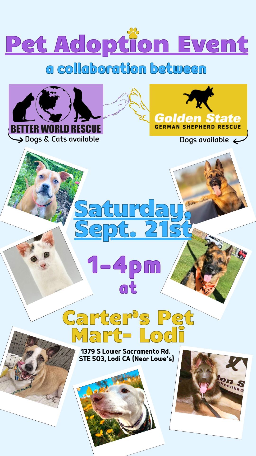 Joint Adoption Fair: Better World Rescue and Golden State German Shepherd Rescue