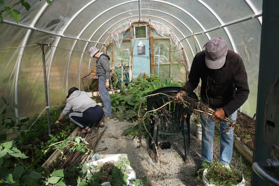 Scarlet Runner Session at the Community Garden