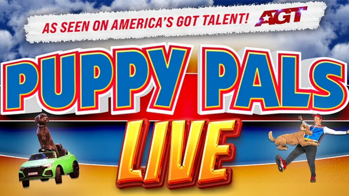Puppy Pals Live - Lima