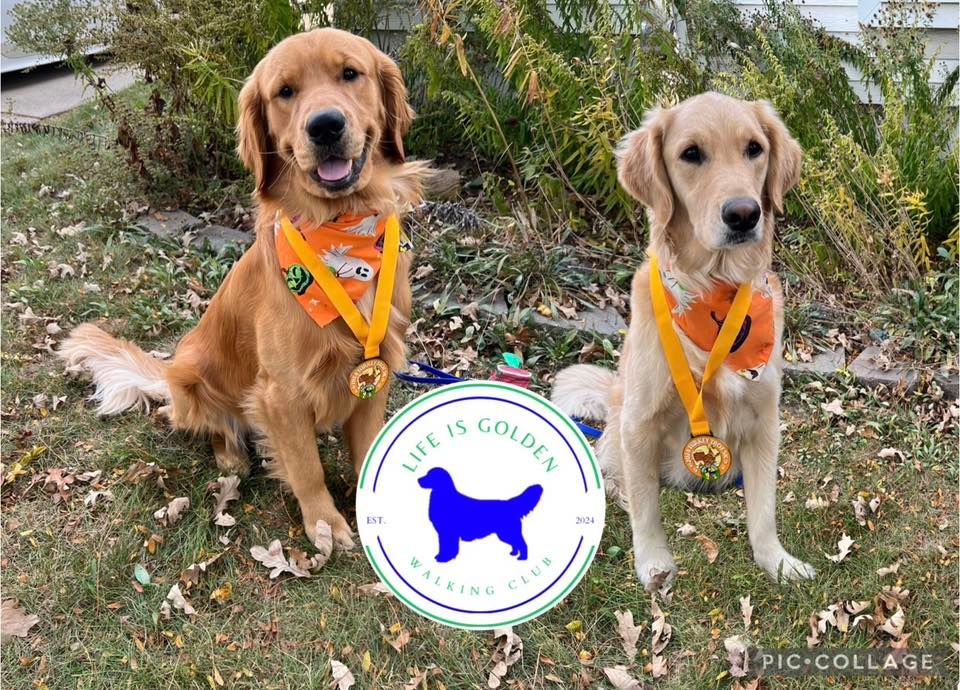 Life is Golden Walking Club\u2019s Walk Off the Turkey Meet Up