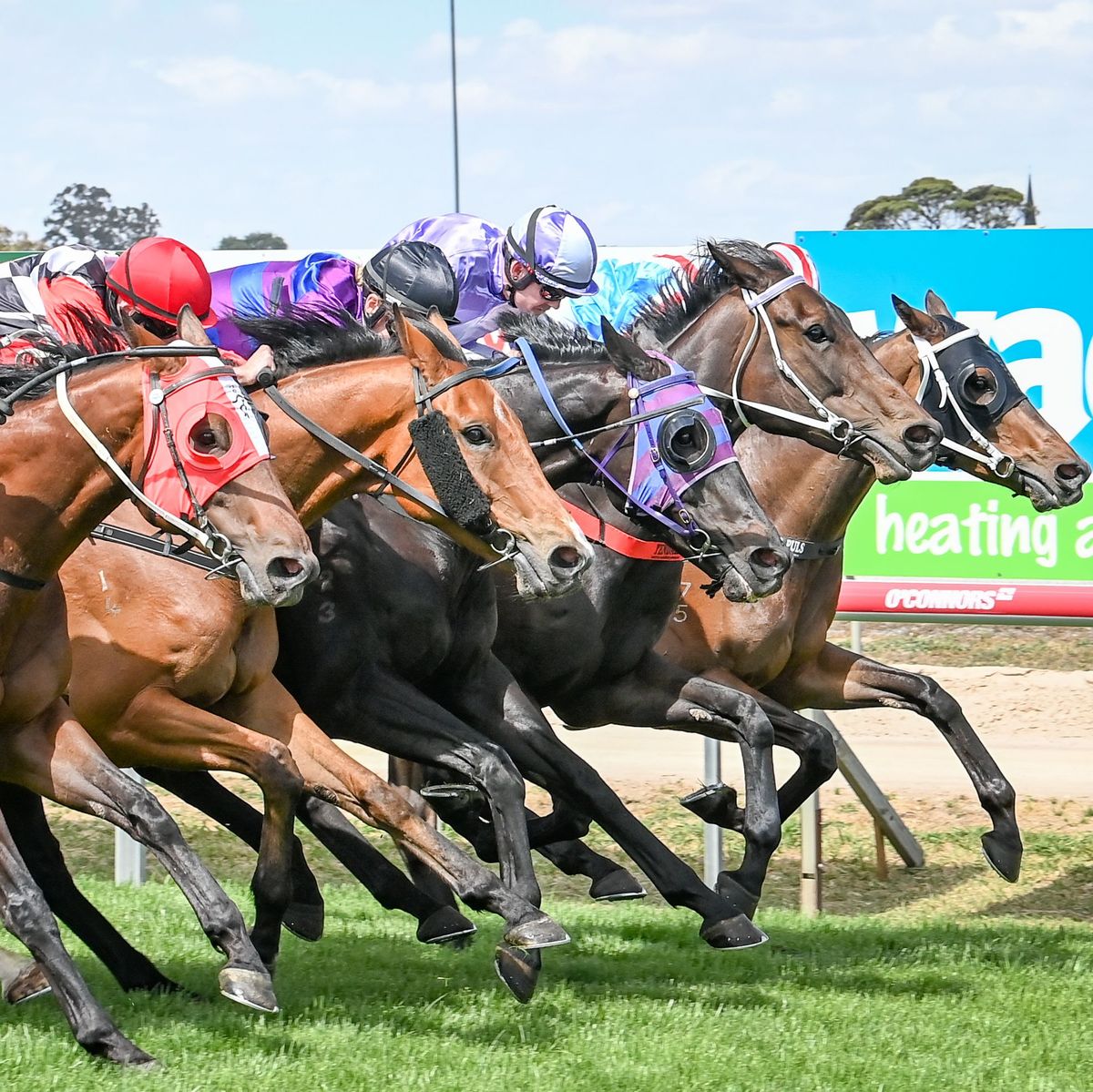 MixxFM Santa day races Sunday 22 December 