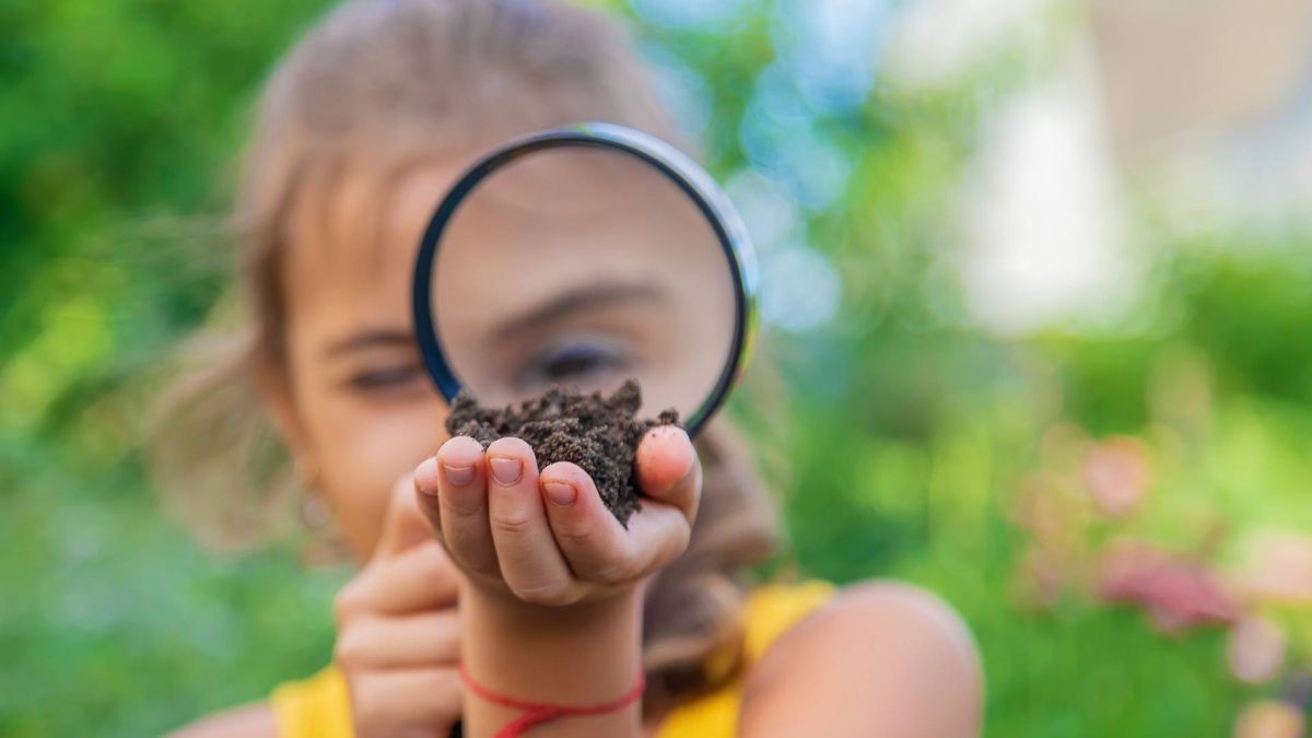 Becoming a Nature Watcher