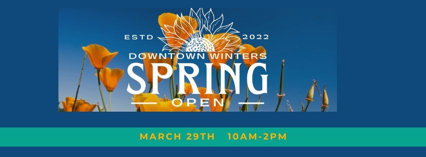 Downtown Winters Spring Open   Adoption Event 