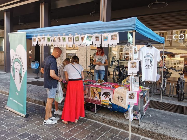 Gazebo informativo in Piazza Duomo a Como