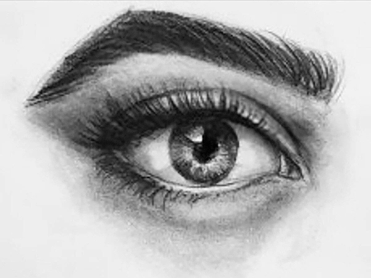 Anatomy of the Eye: A Guide to Drawing with Pencils, -with Laura T