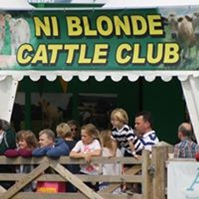 Northern Ireland Blonde Cattle Club