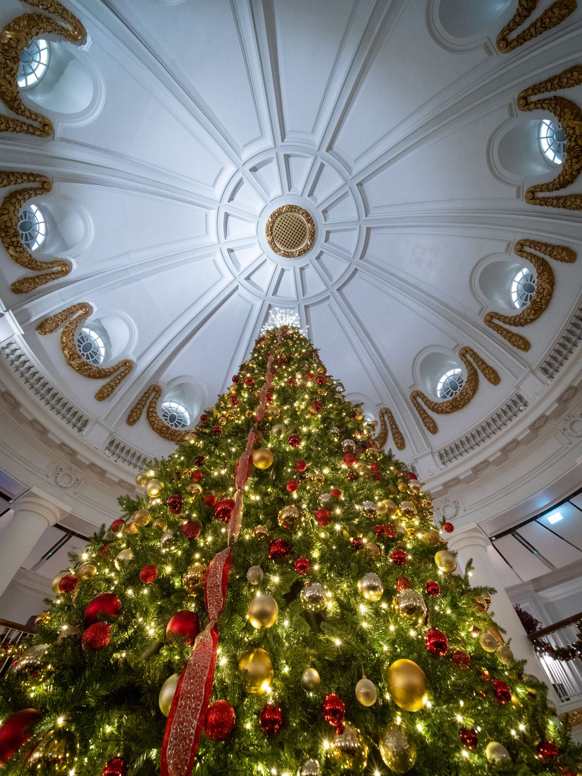 Christmas Tree Light Switch On