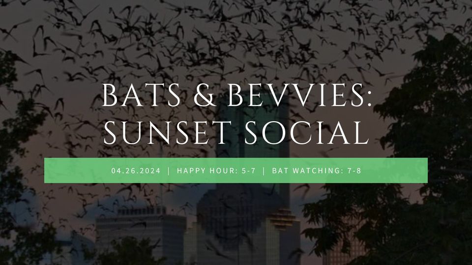 Bats & Bevvies: Sunset Social