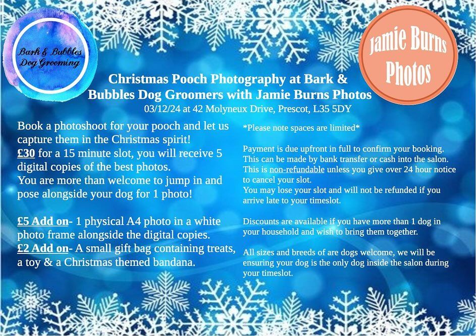  Christmas Pooch Photography at Bark & Bubbles Dog Groomers with Jamie Burns Photography!