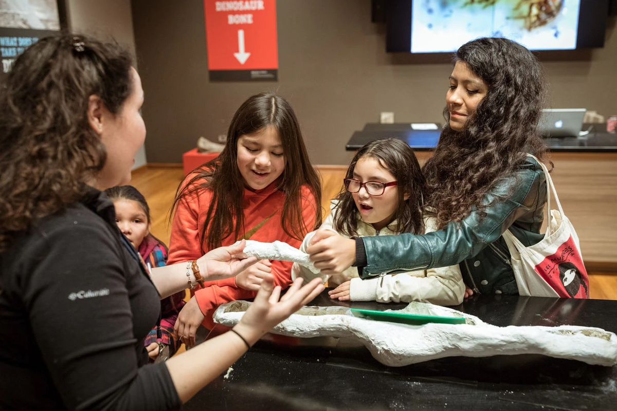 Meet a Scientist: A Litter Bit of Feline Facts and Fun