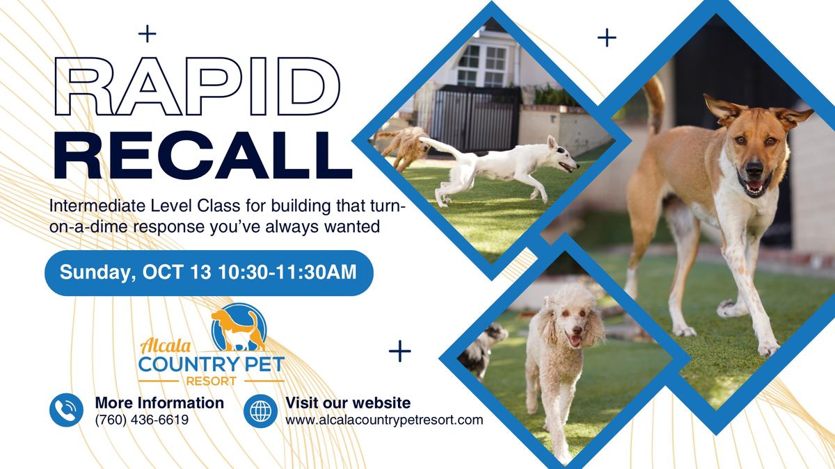 Rapid Recall Group Dog Training Class