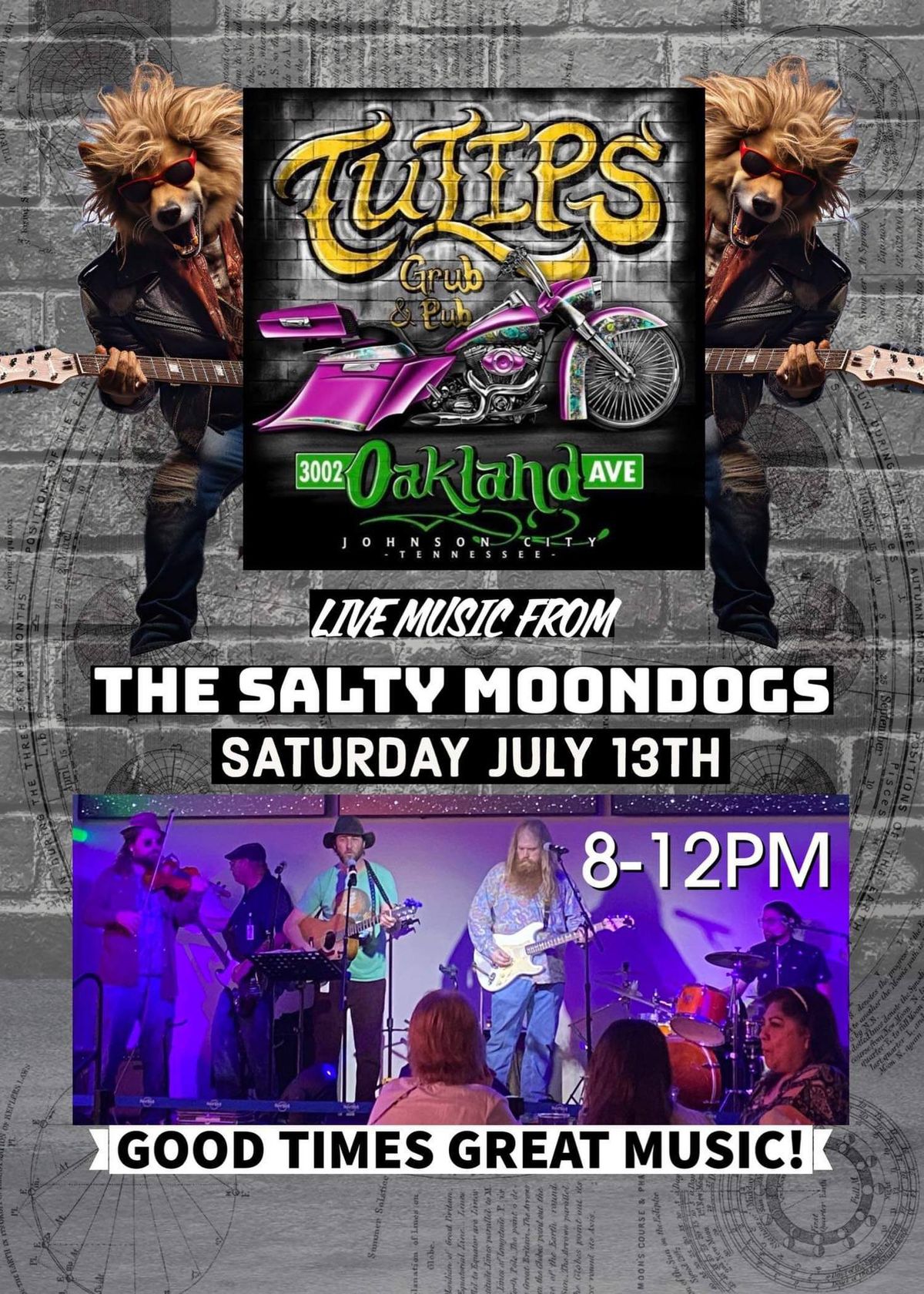 Salty Moon Dogs Band 