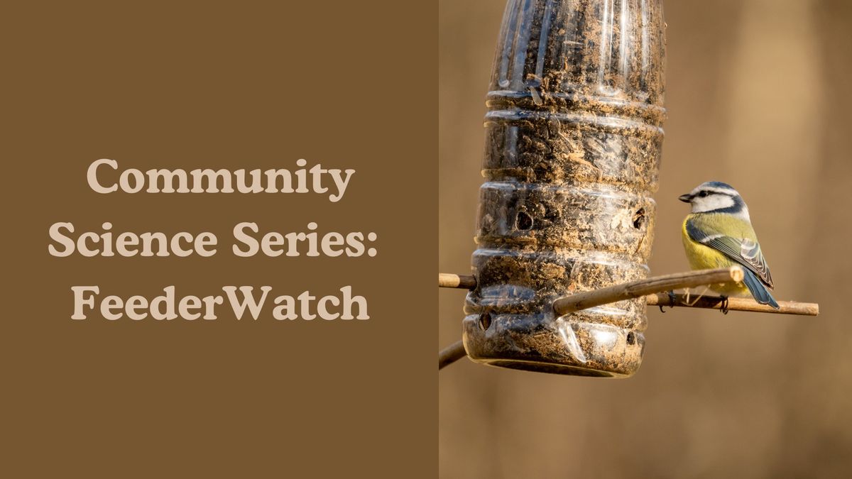 Community Science Series: FeederWatch