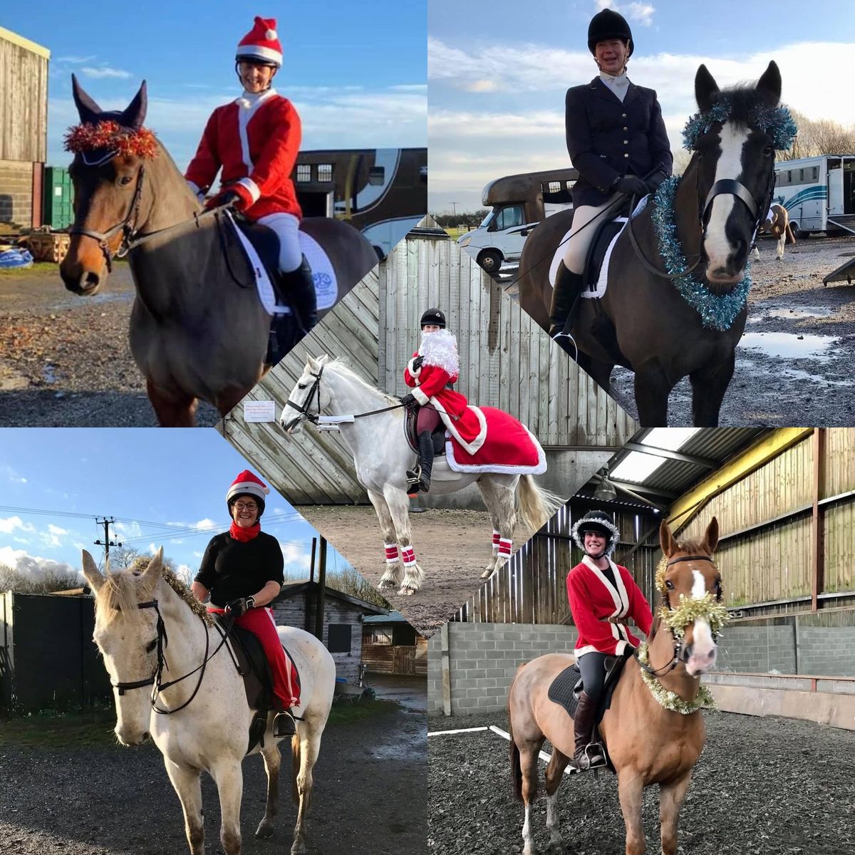 Christmas Weekend Dressage