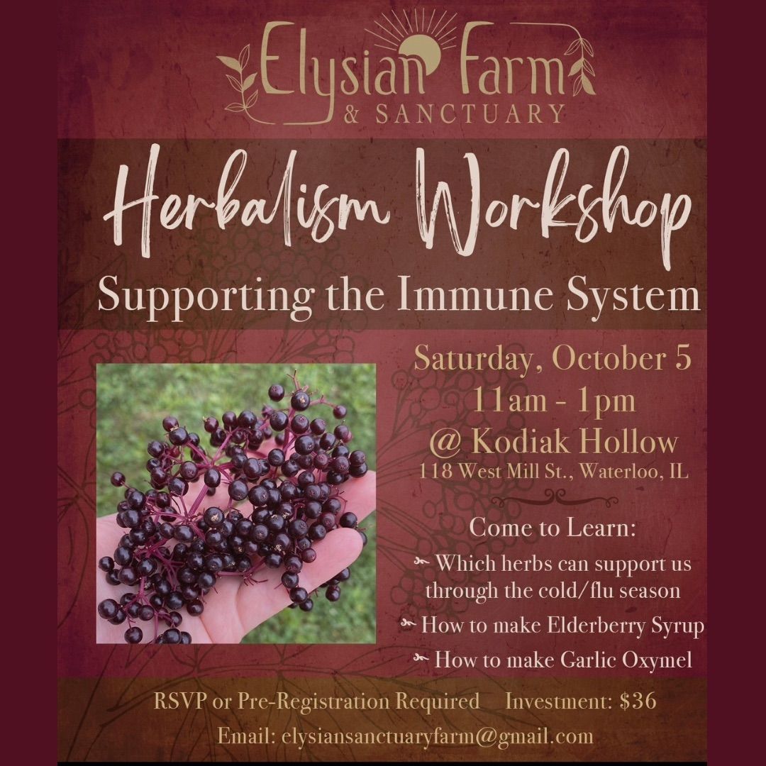 Herbalism Workshop-Supporting the Immune System