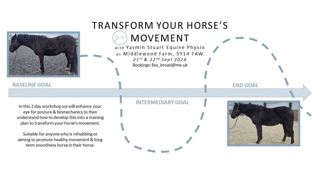 Transform Your Horse's Movement