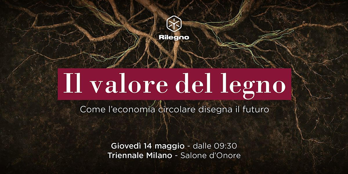 Il valore del legno - Come l'economia circolare disegna il futuro