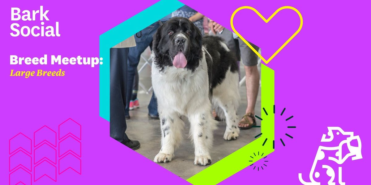 Breed Meetup: Large Breeds!