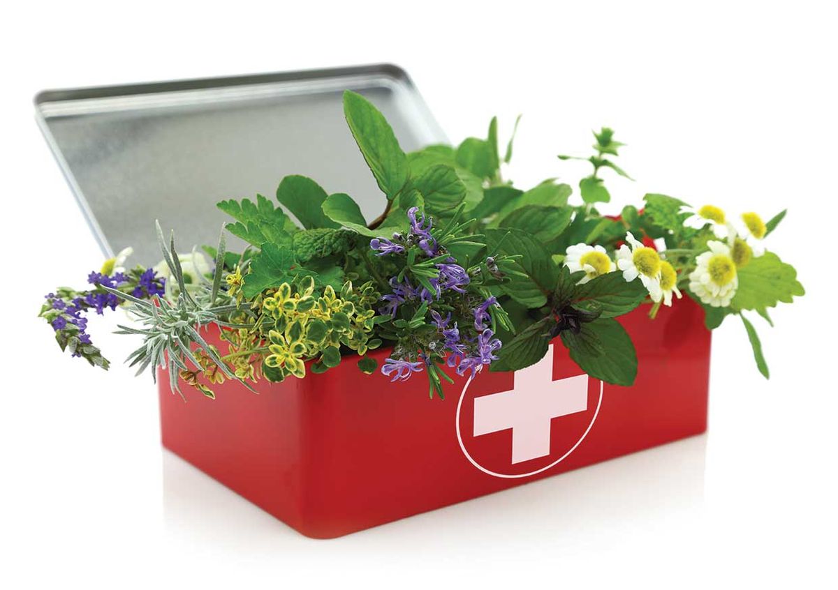 First Aid Starter Kit: Stock Up Your Herbal Medicine Cabinet