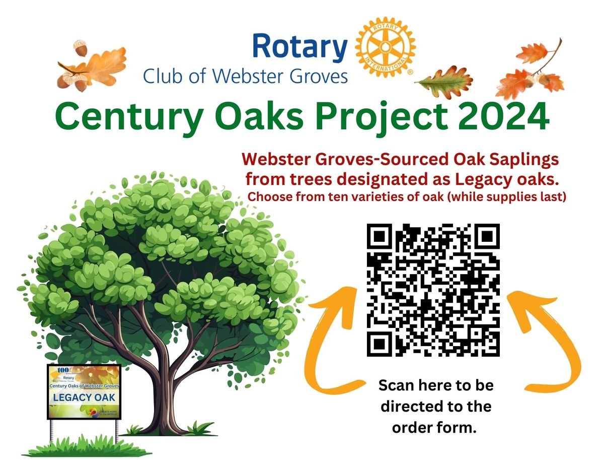 Century Oak Sapling Distribution