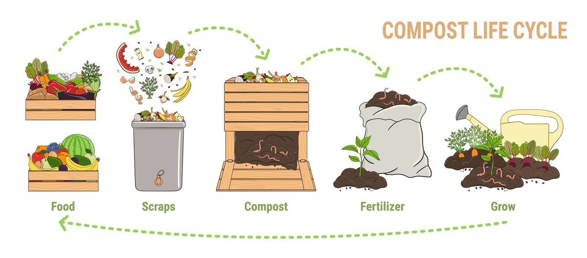 Composting For Beginners