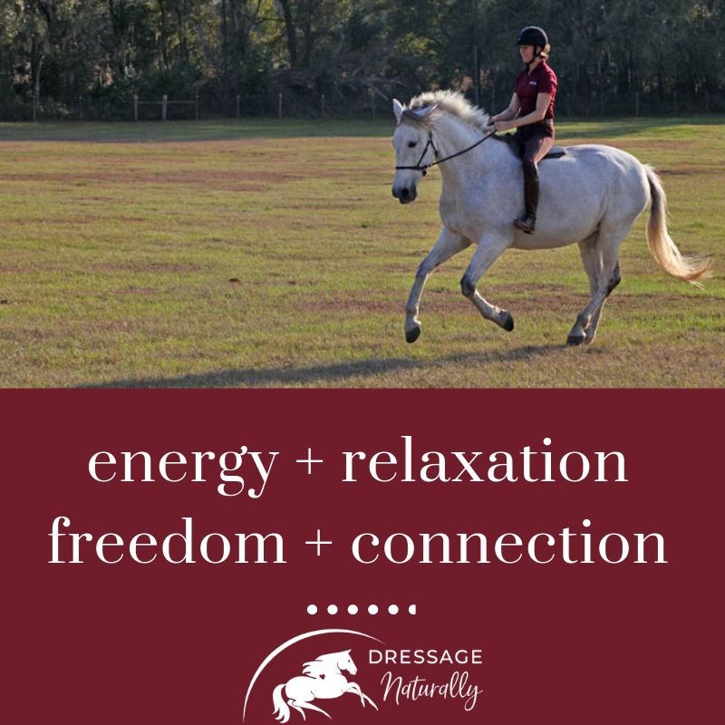 Dressage Naturally with Shawna Lewis