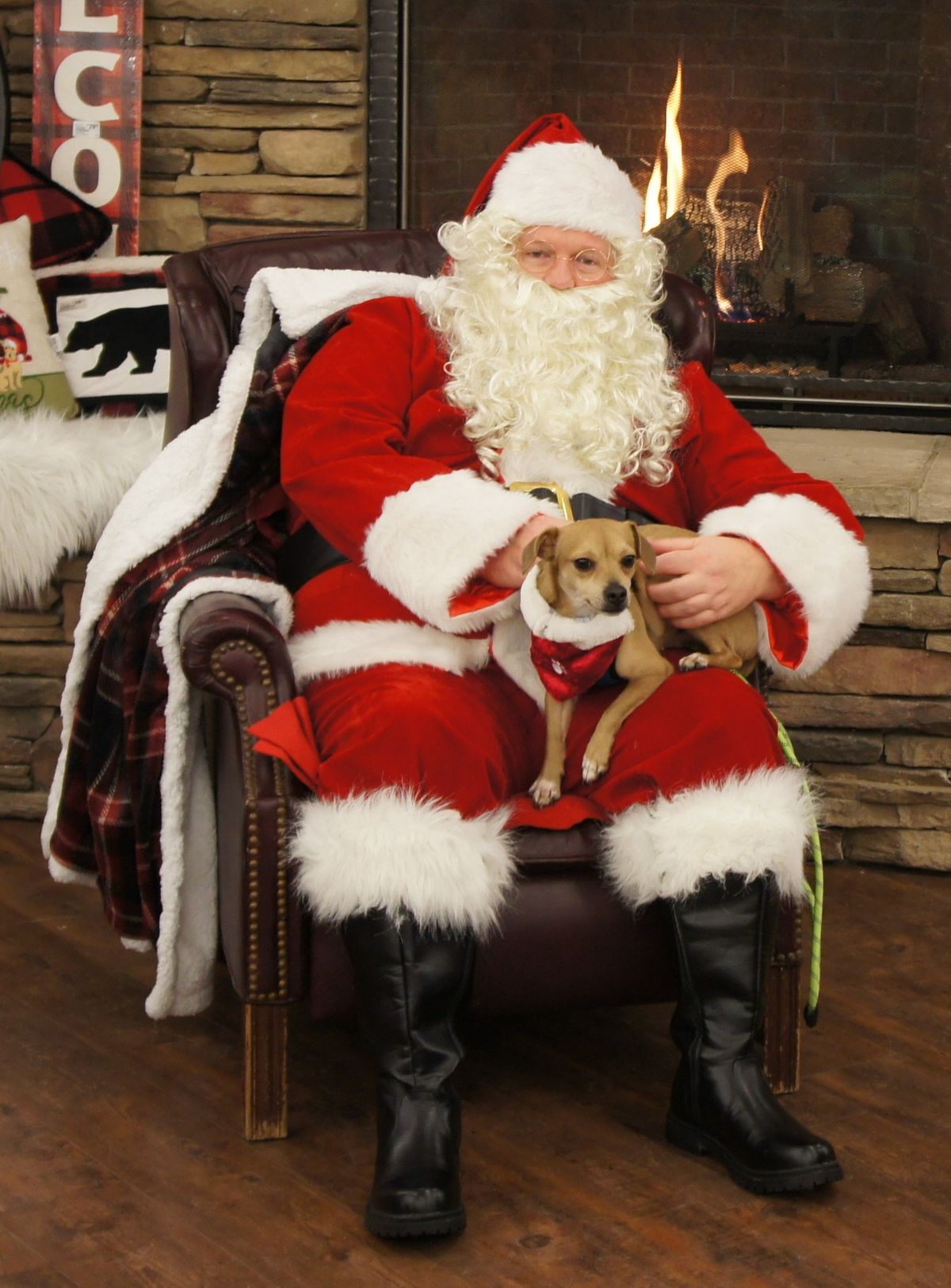 Adoption Event and SANTA PHOTOS at Coastal Farm and Ranch - Auburn