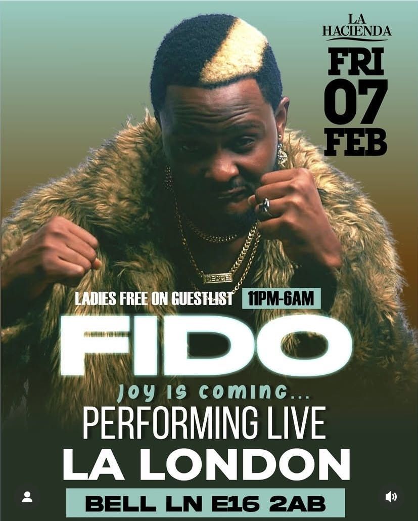 FIDO "Joy Is Coming" Performing Live