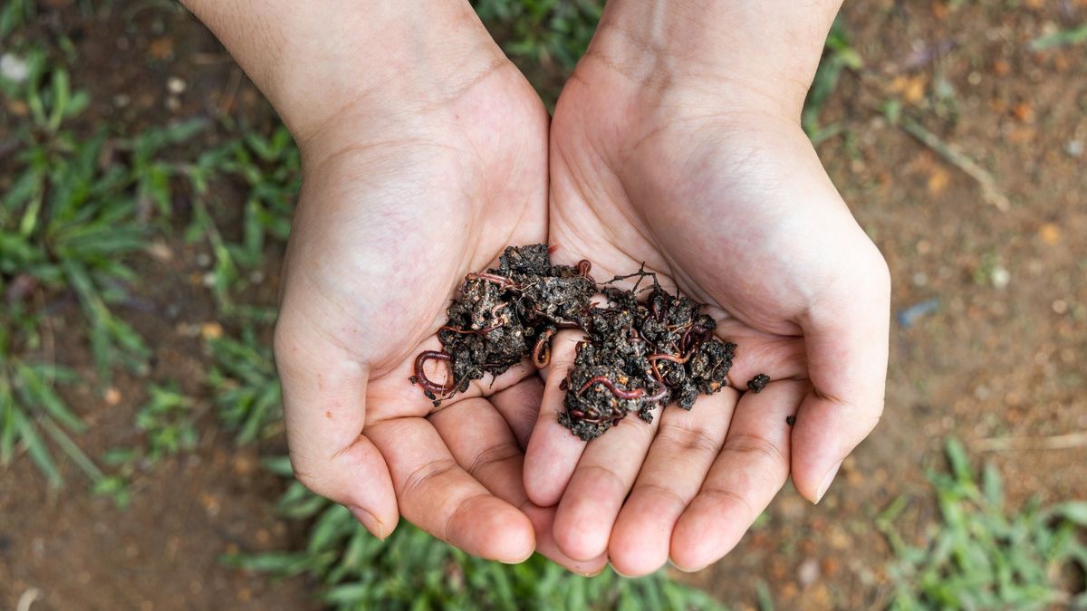 Worm Farming Workshop | City of Cockburn