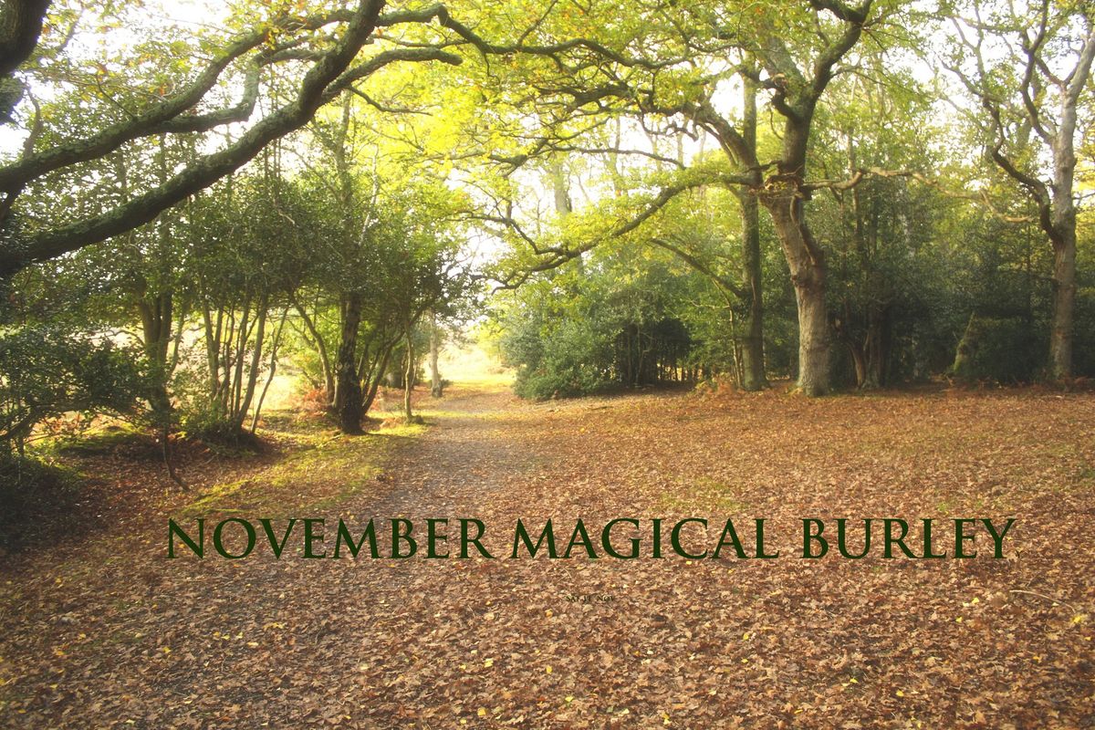 NOVEMBER  Milonga at Magical Burley