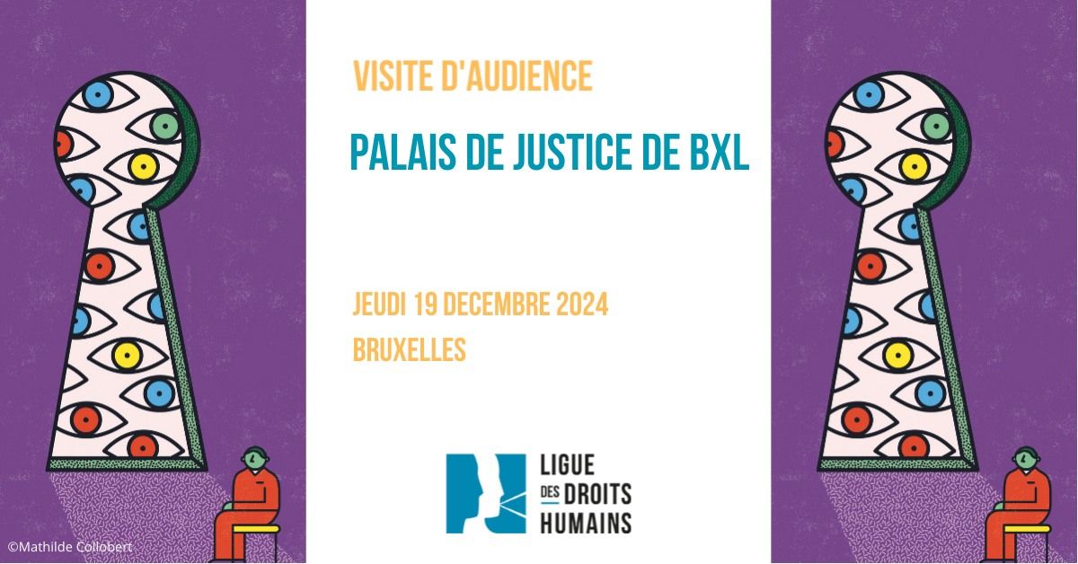 Visite d'audience - 19\/12\/24 | Palais de justice de Bxl