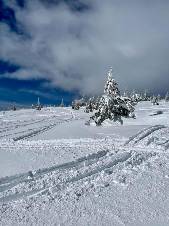 Tour The Twelve Snowmobile Adventure