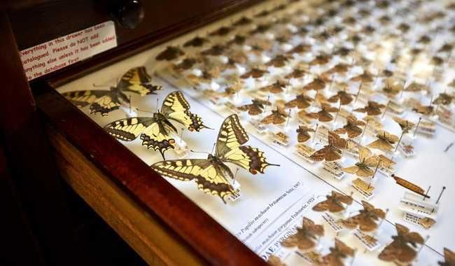 Behind the Scenes Museum Tour at Hampshire Cultural Trust