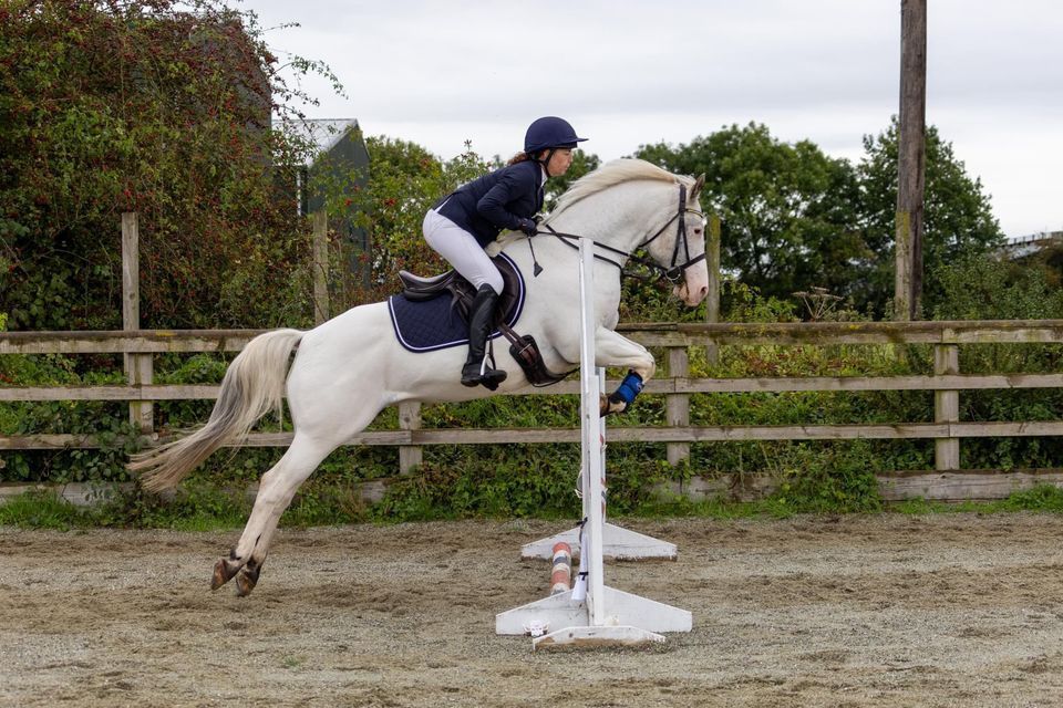 Thorpe Meadows Show Jumping Competition