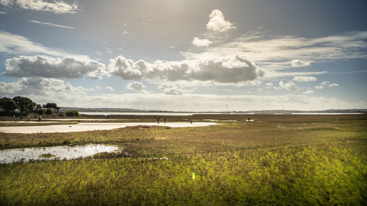 Wandering the King Tides