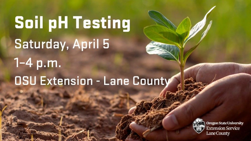 Soil pH Testing