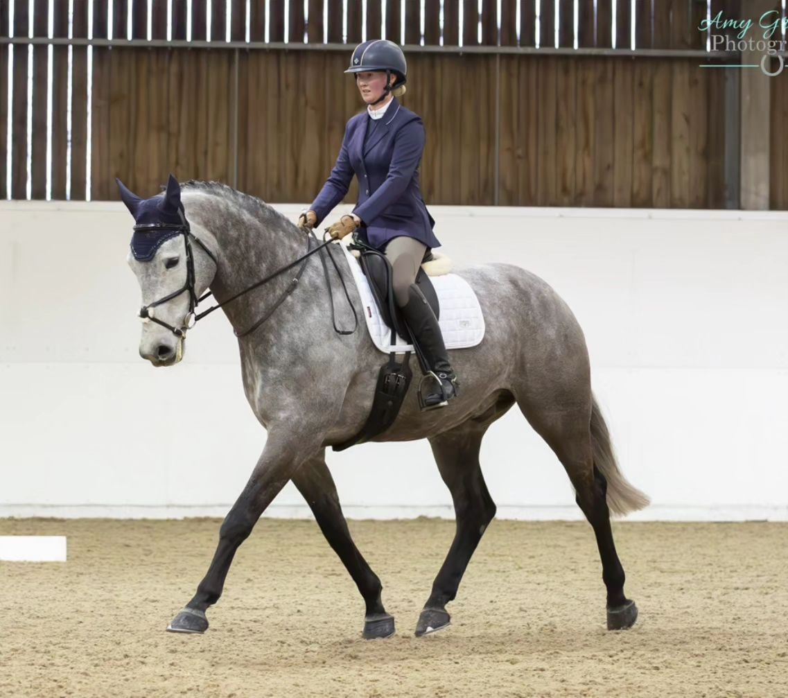 Pick Your Own Test Dressage Winter Series