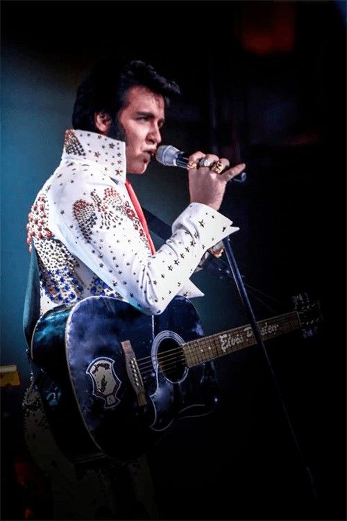 Elvis Tribute Artist, Travis Powell