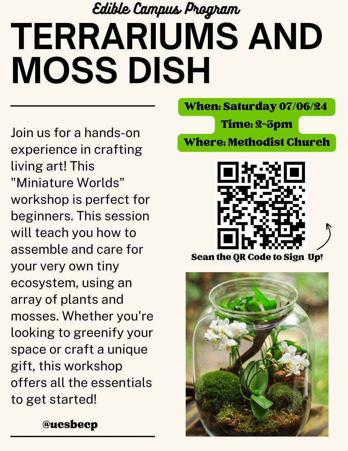 terrariums and Moss Dish Workshop 