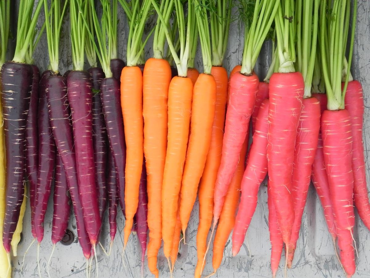 Vegetable Gardening