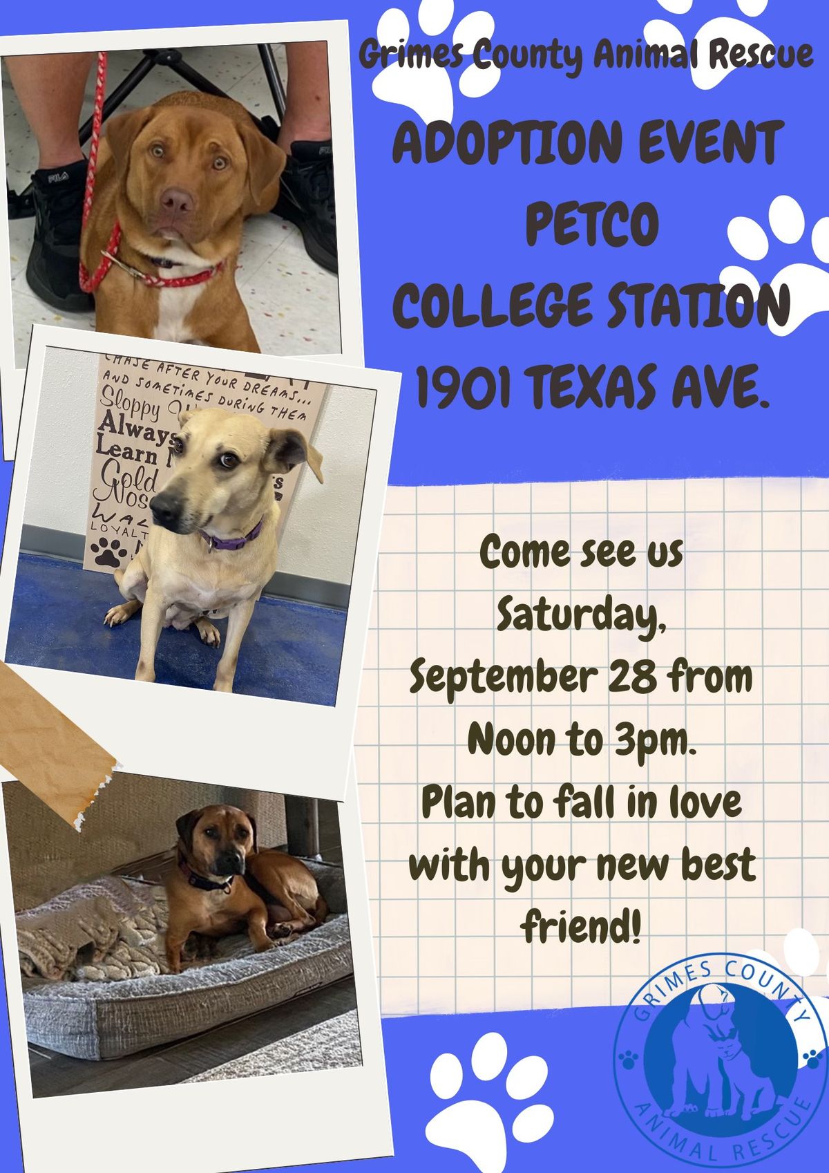 GCAR Petco Adoption Event