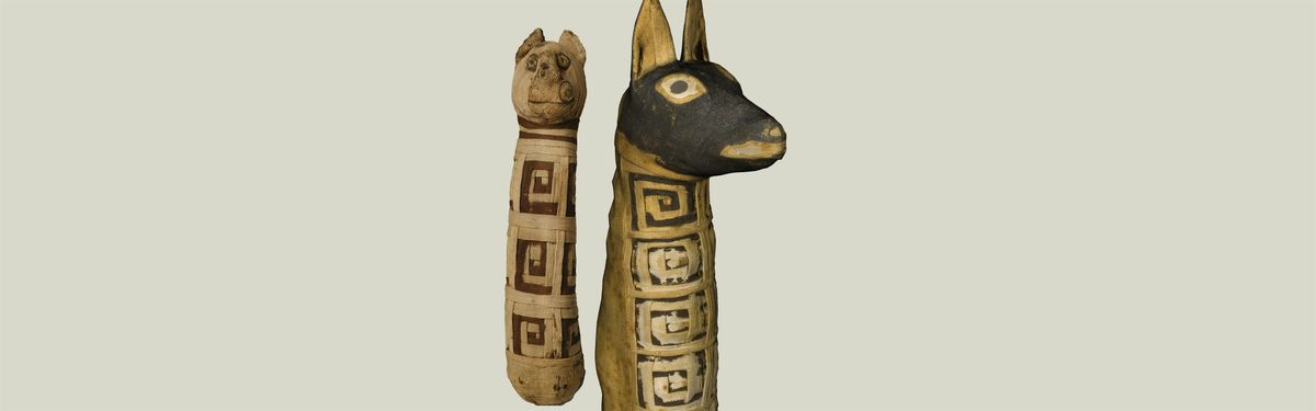 Leggere tra le bende:  i tessuti delle mummie animali votive