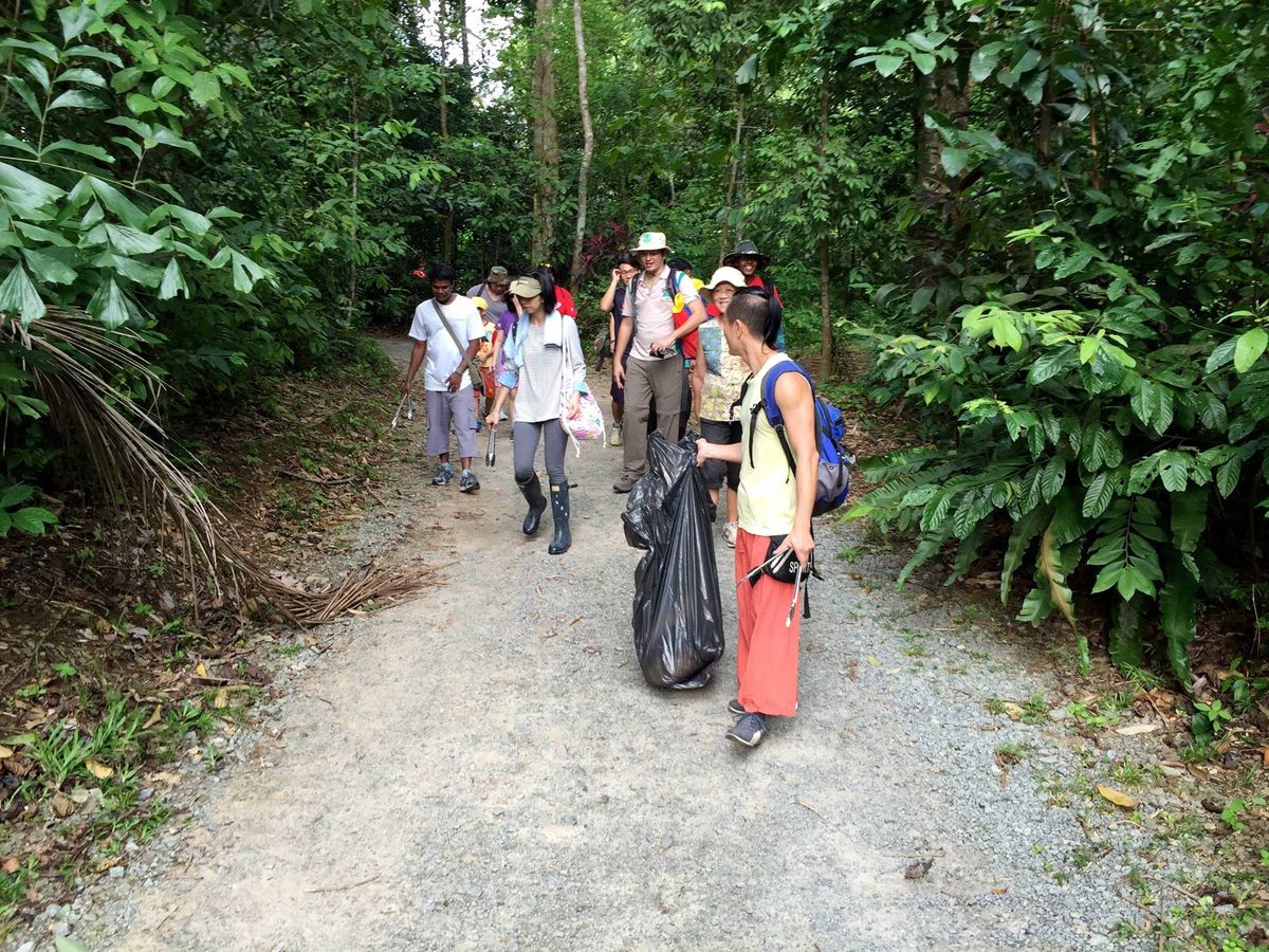 Forest Clean-up at Pulau Ubin