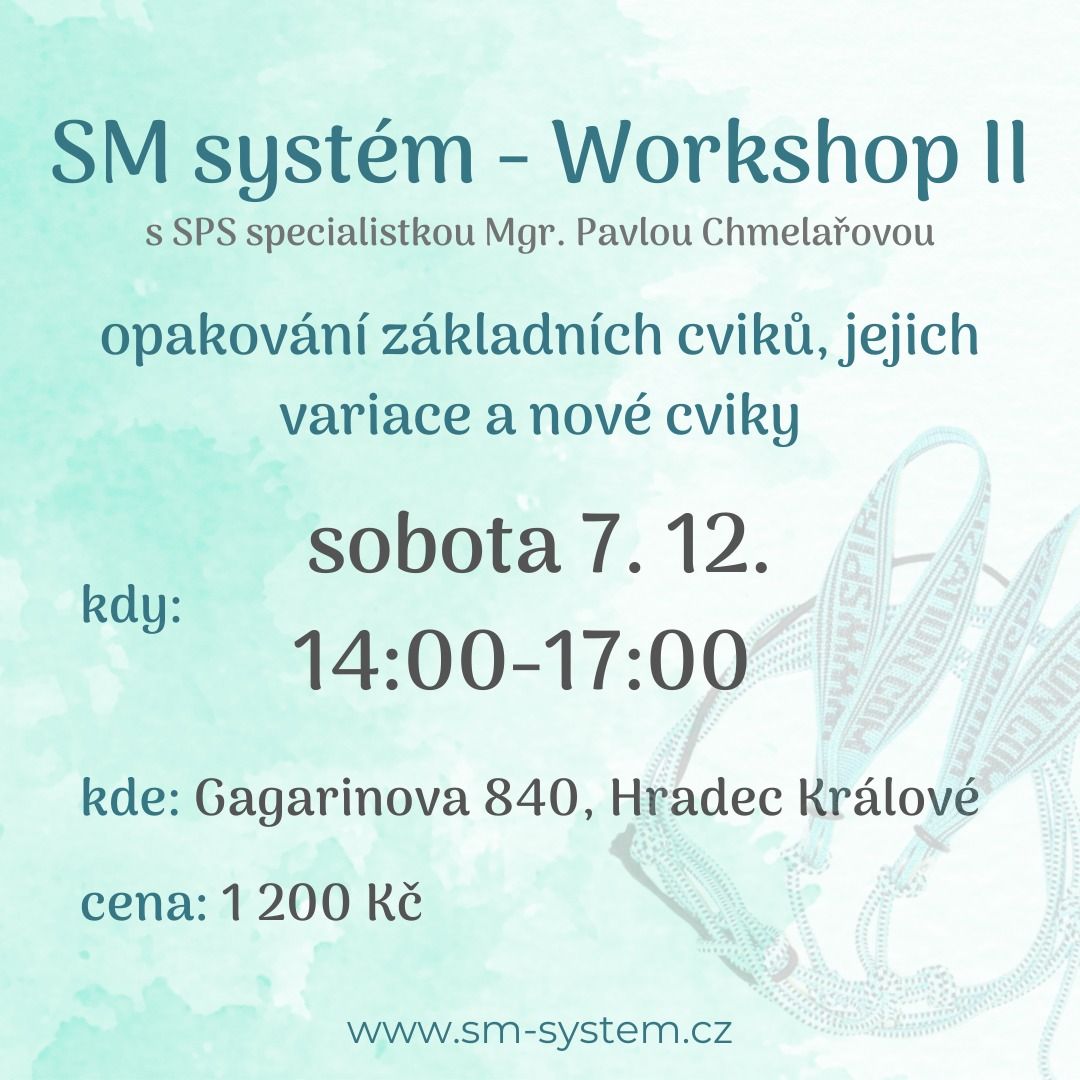 SM syst\u00e9m - Workshop II - n\u00e1vazn\u00fd semin\u00e1\u0159