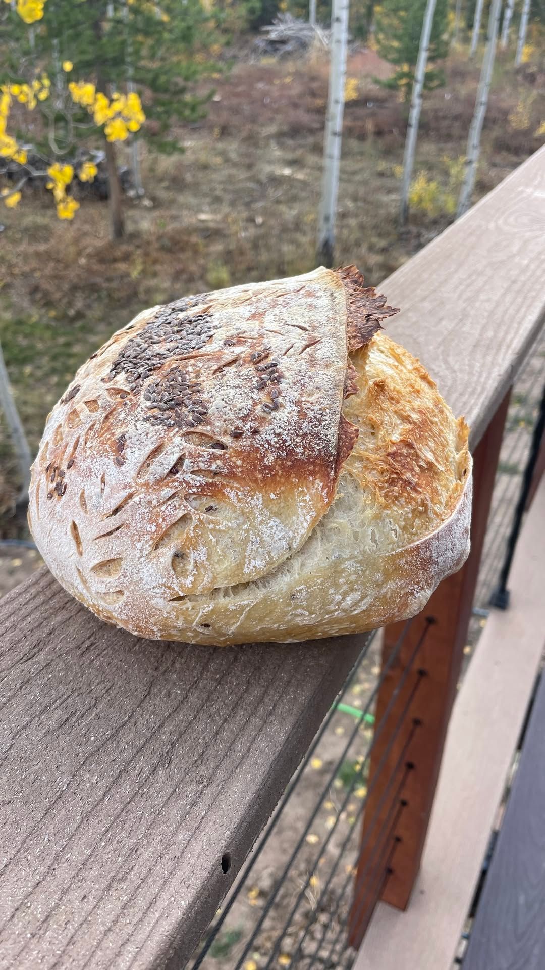 Useful Skills Class: Sourdough Bread Making