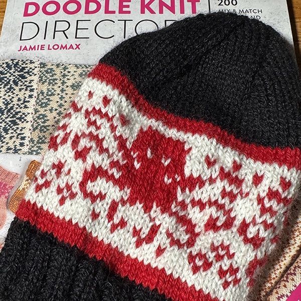 Knit a Doodle Hat