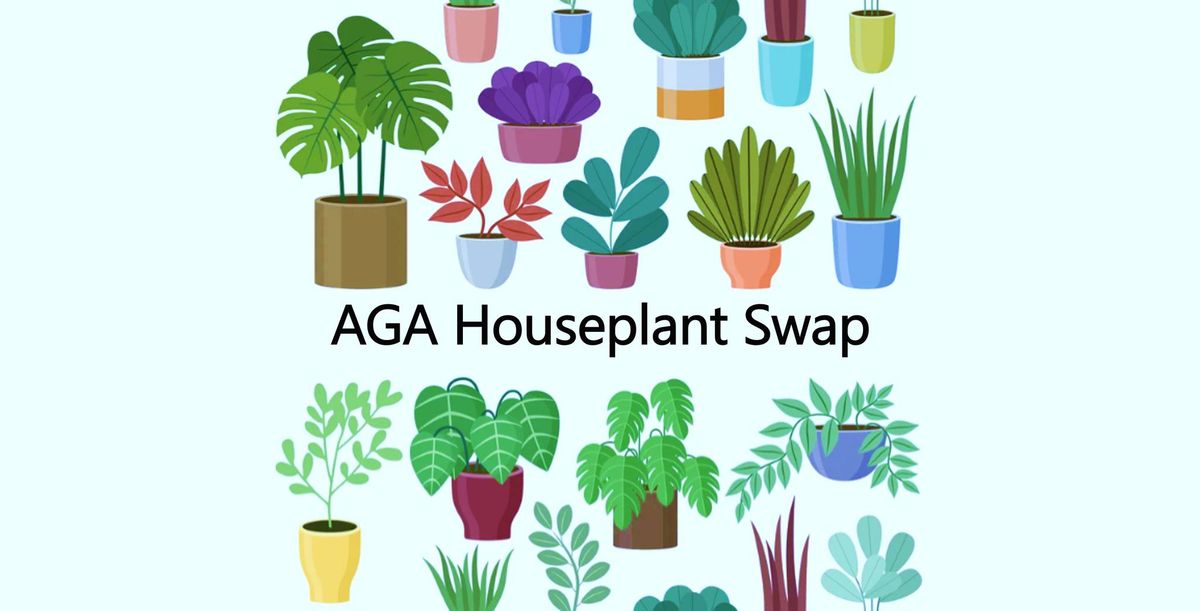 AGA Houseplant Swap and BINGO